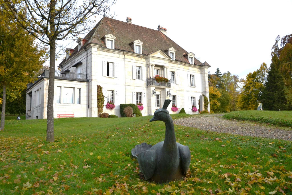 CCR_Sortie_P19.10.2025-003 CCR Sortie 19.10.2025