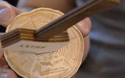 Dernière activité 2025